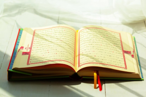 Quran recitation daily gives you a lot of benefits