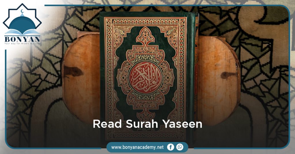 Reasons and effects you can get if you read Surah Yaseen