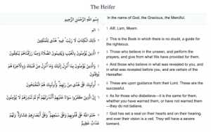 need advice before starting Quran memorization?